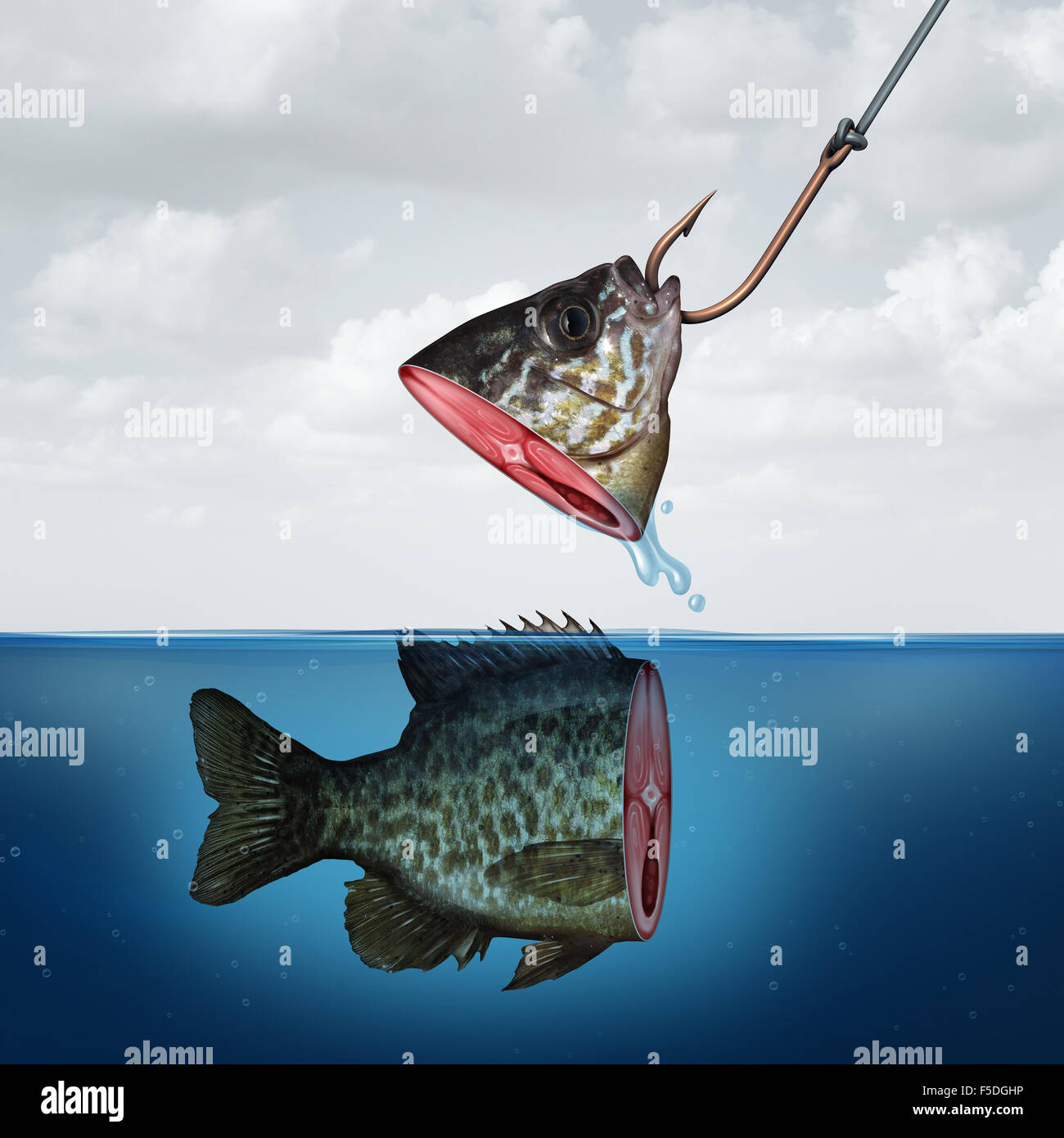 Disappointing profit business concept as a partial fish head on a hook with tehe rest of its body still in the water as a symbol for false promise and underperformance. Stock Photo