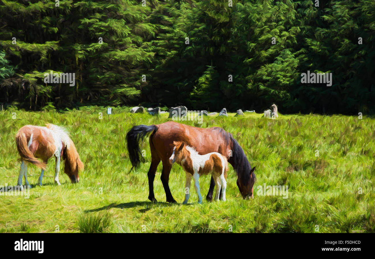 Dartmoor pony foal and mother Soussons Cairn Circle Dartmoor Devon illustration like oil painting Stock Photo
