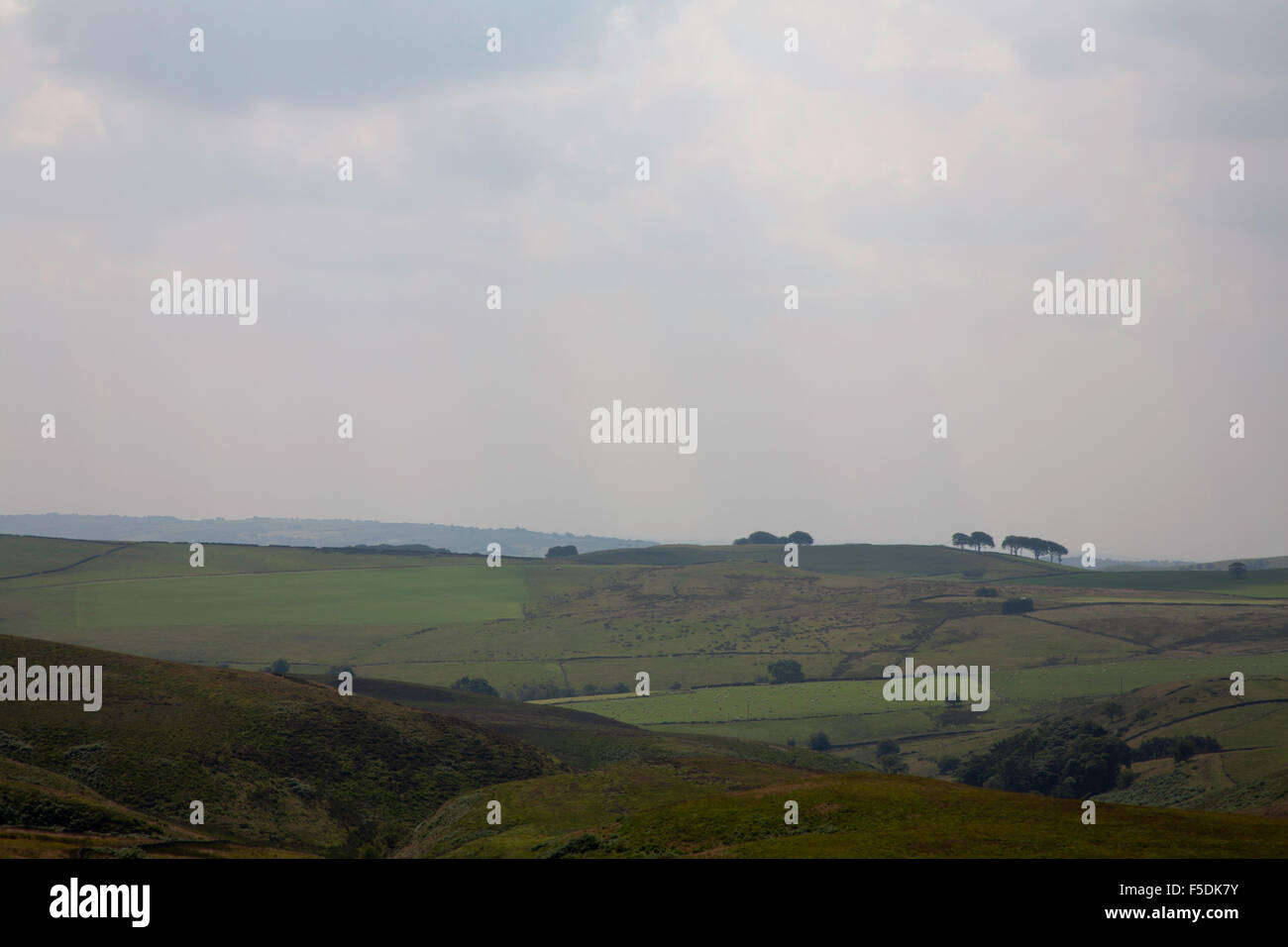Piggford Moor from Shutlingsloe  and Wildboarclough   Macclesfield Cheshire England Stock Photo