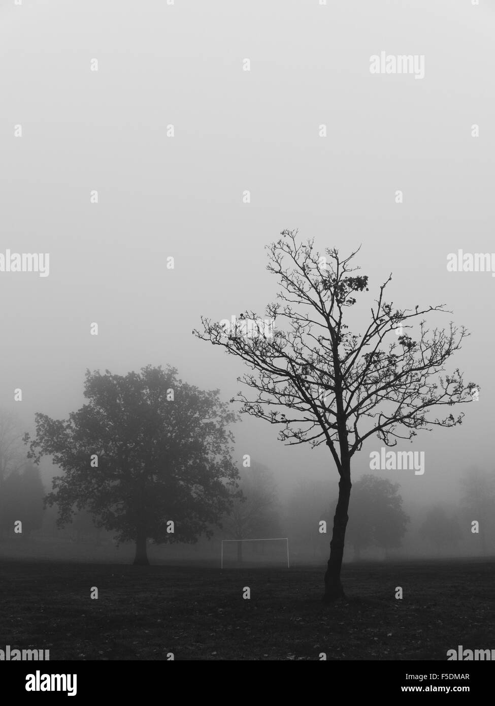 Foggy day at the park, with football goalposts in the scene. Stock Photo