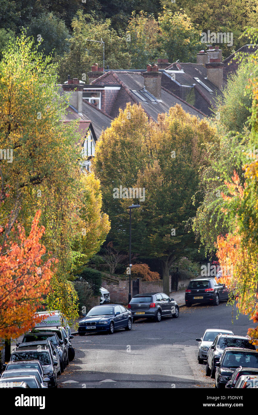 Autumn color in the trees of Dukes Avenue, a street in the North London district of Muswell Hill. Stock Photo