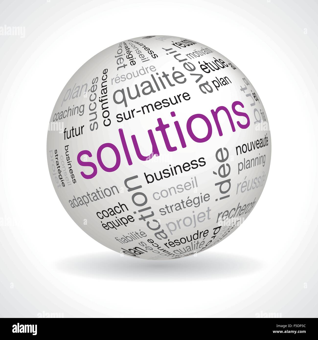 French Solutions theme sphere with keywords full vector Stock Vector