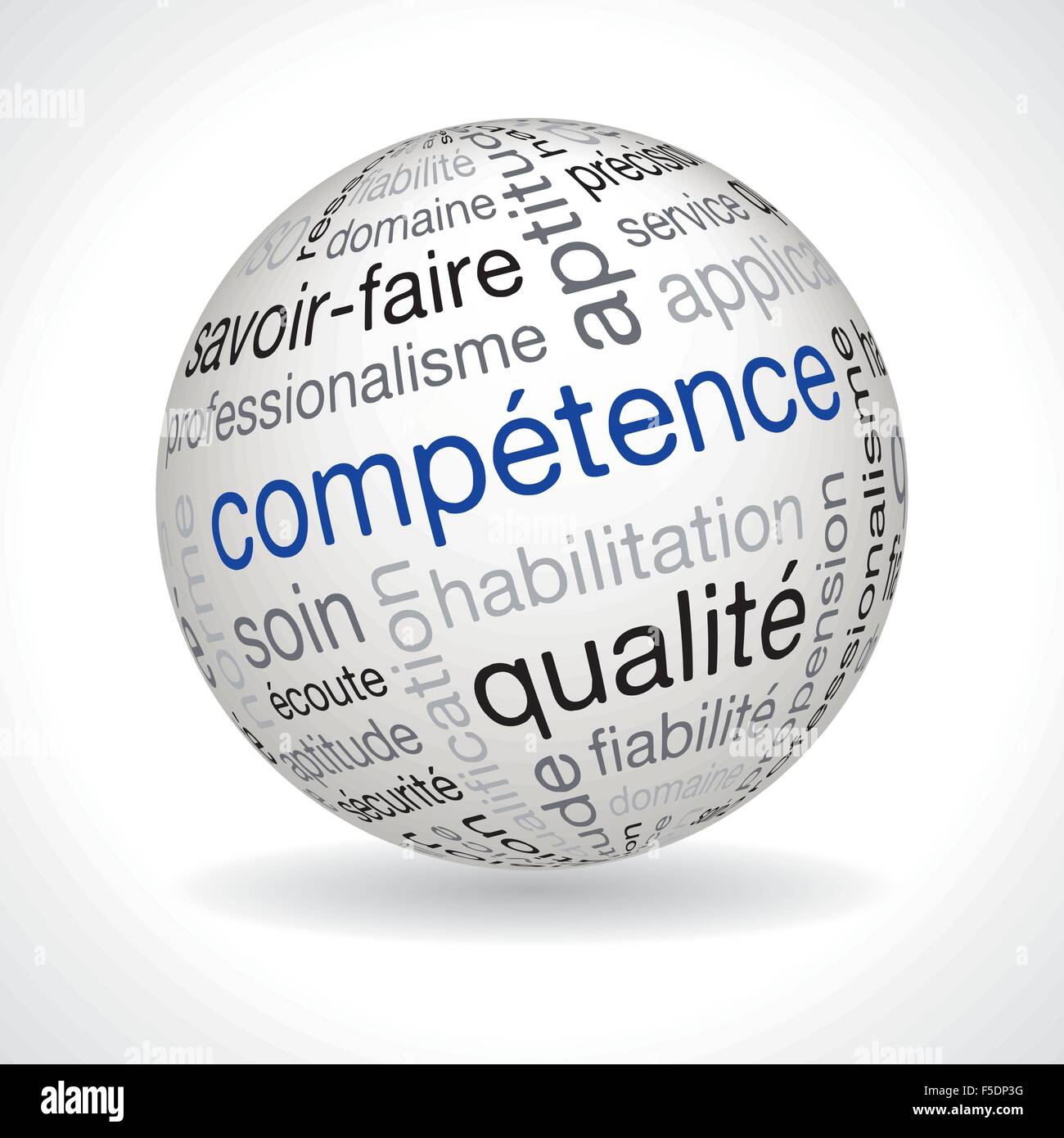 French competence theme sphere with keywords full vector Stock Vector