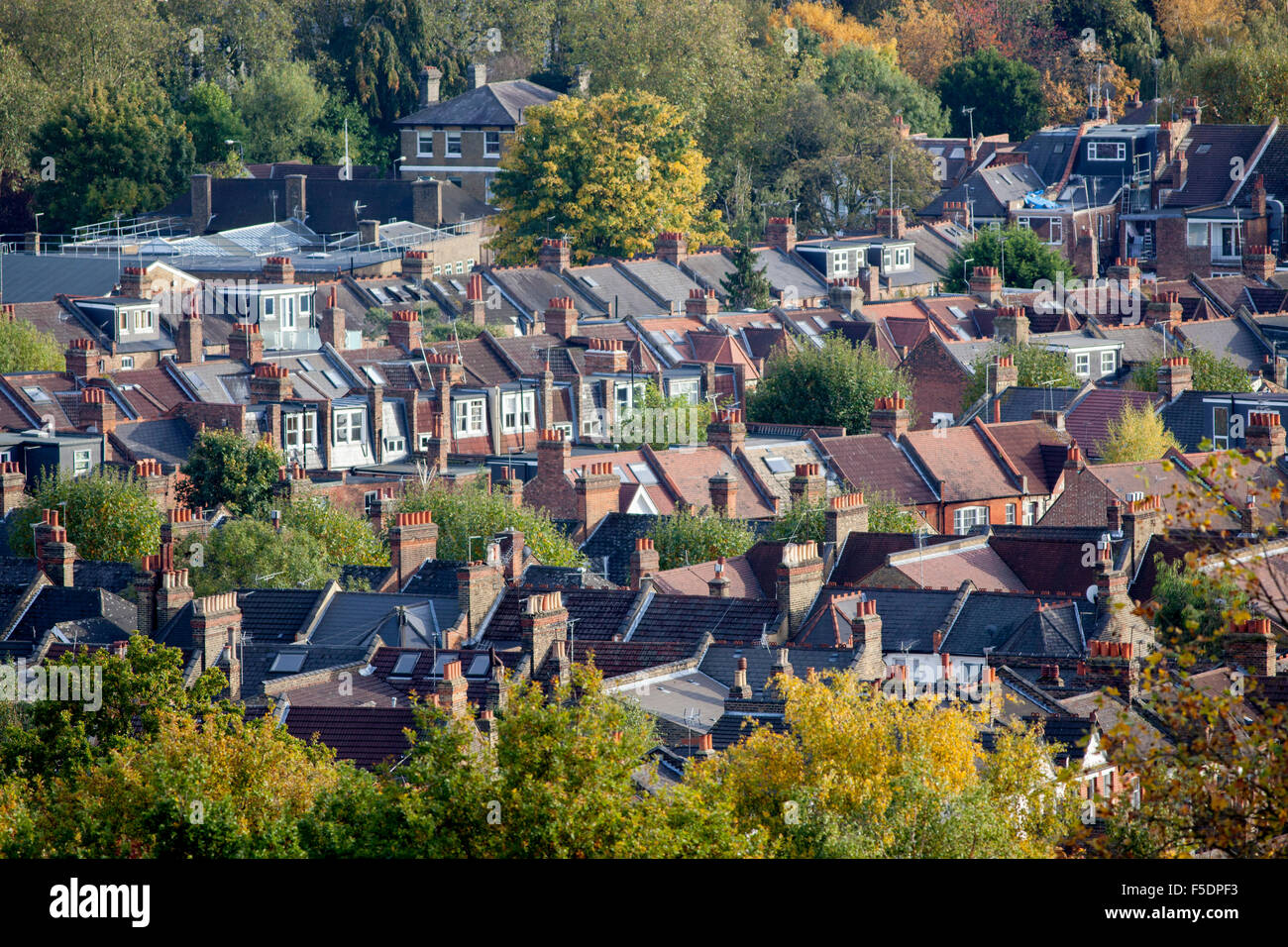Rooftops between the autumn trees in Crouch End,Hornsey, London N8 Stock Photo
