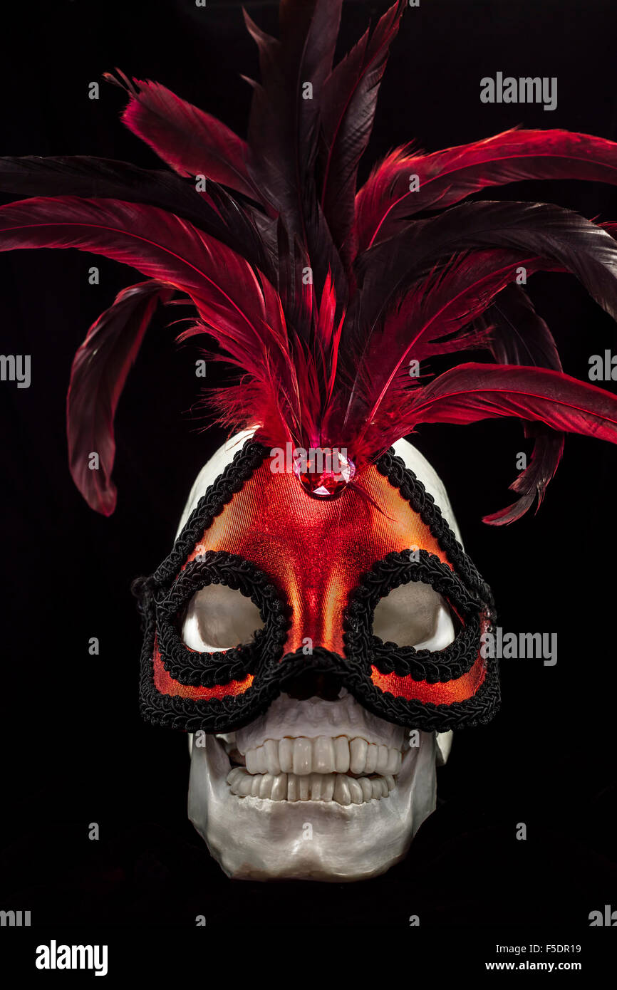 Masquerade mask on white skull. Stock Photo