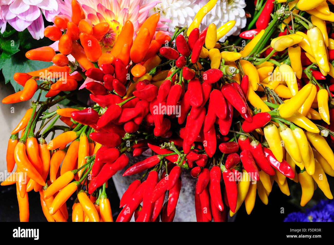 Colourful peppers in flower shop, Flask Flask Walk, Hampstead, London Borough of Camden, Greater London, England, United Kingdom Stock Photo