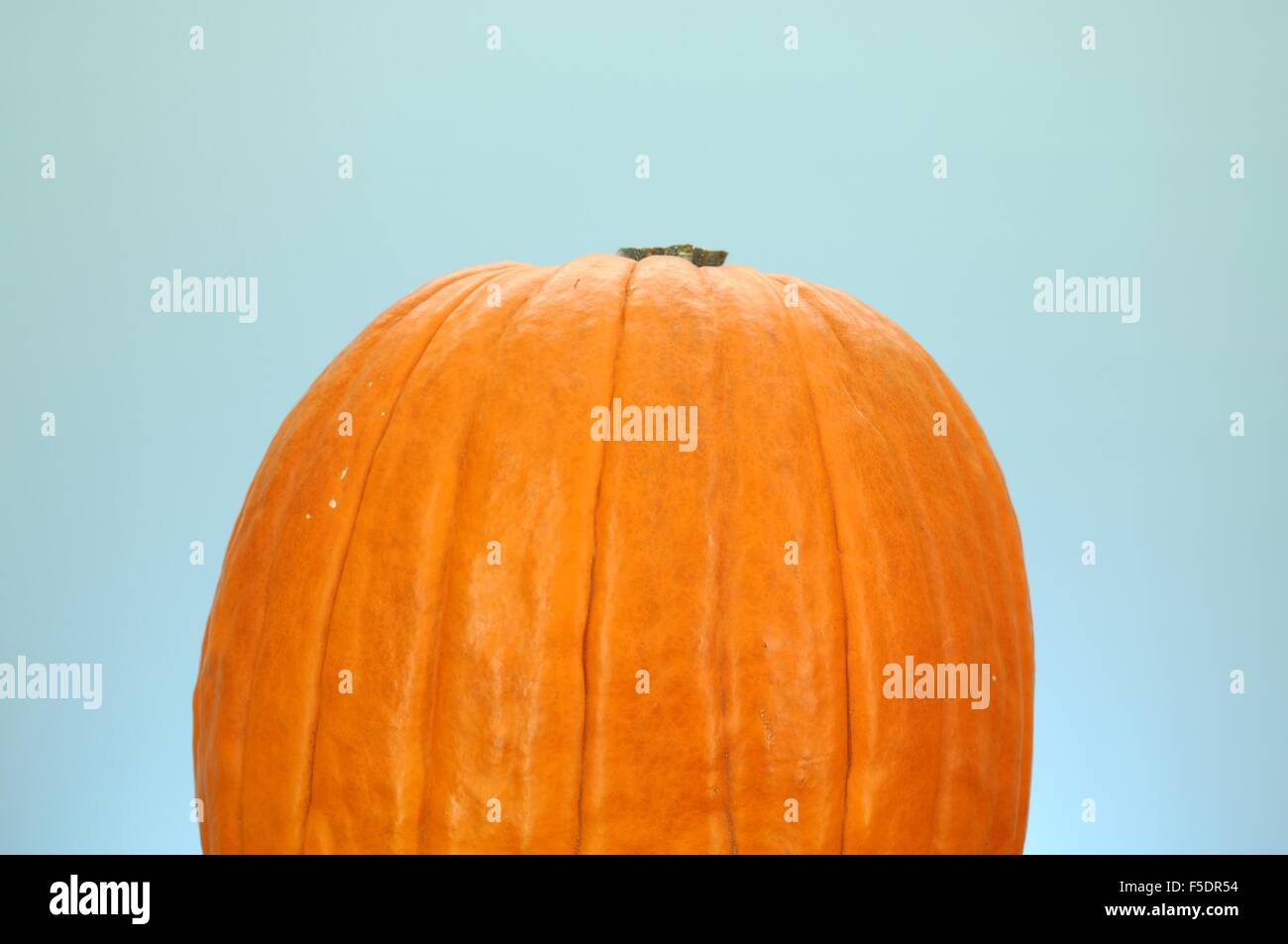 A studio photo of a Halloween pumpkin on artificial grass Stock Photo ...