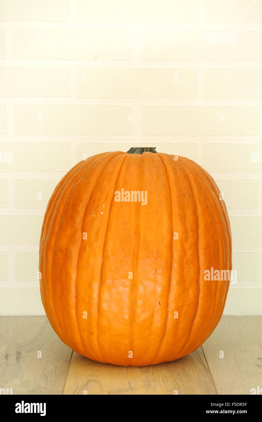 A studio photo of a Halloween pumpkin on artificial grass Stock Photo ...