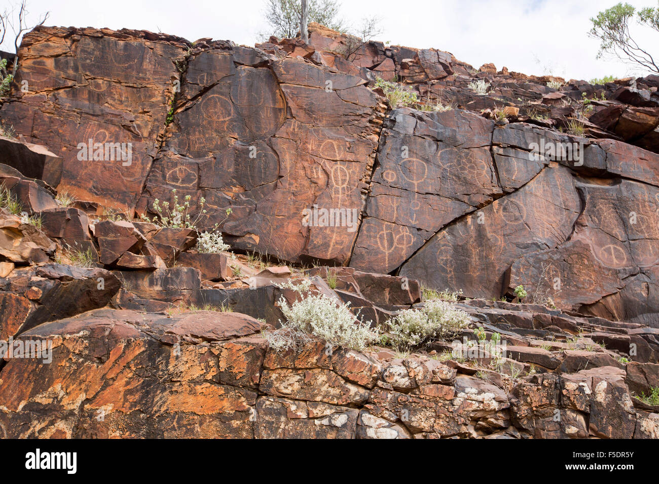 Ancient aboriginal rock art engravngs, symbols of initiation rites, on red stone walls in Flinders Ranges  in outback Australia Stock Photo