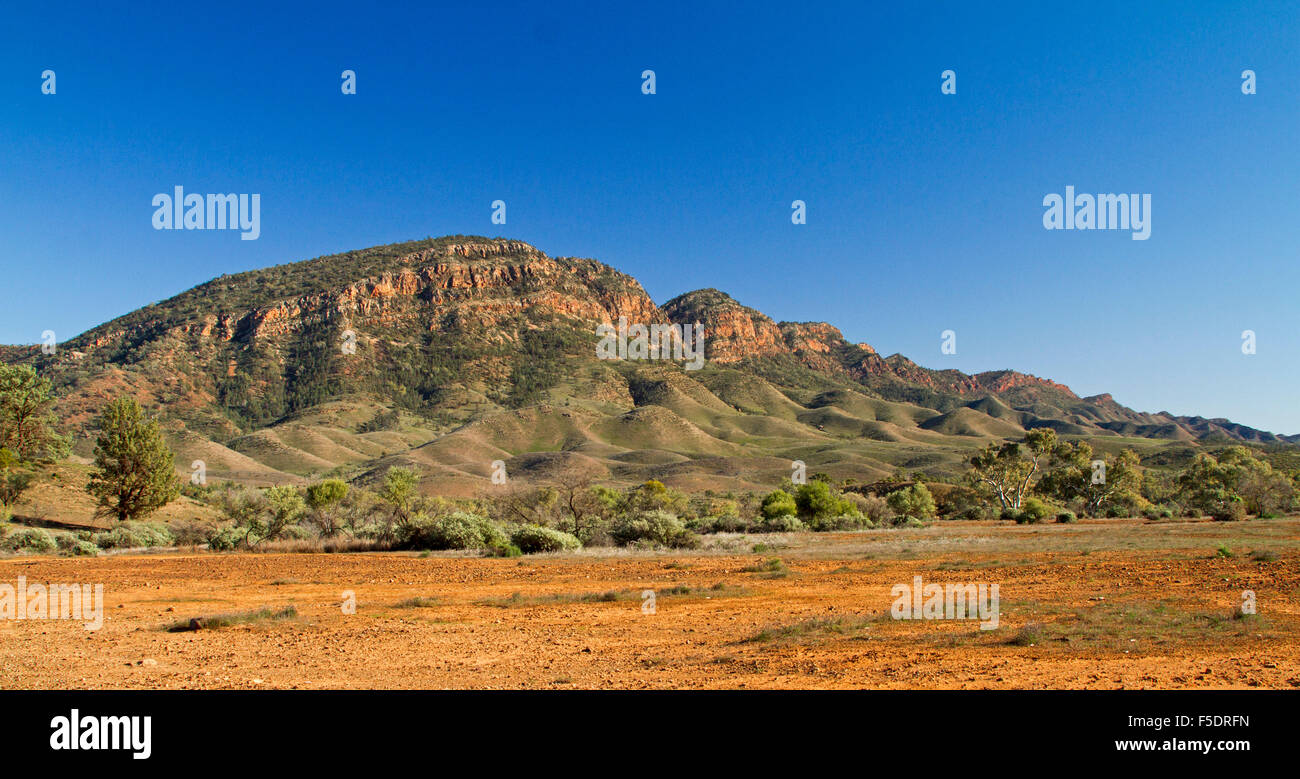 Panoramic view of rugged Heysen Ranges &  Aroona Valley under blue sky in Flinders Ranges National Park, in outback South Australia Stock Photo