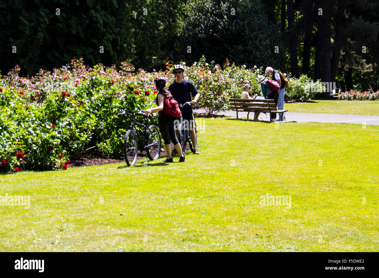 Stanley Park is a thousand-acre urban refuge often cited as one of the world's finest public parks, Vancouver, British Columbia, Stock Photo