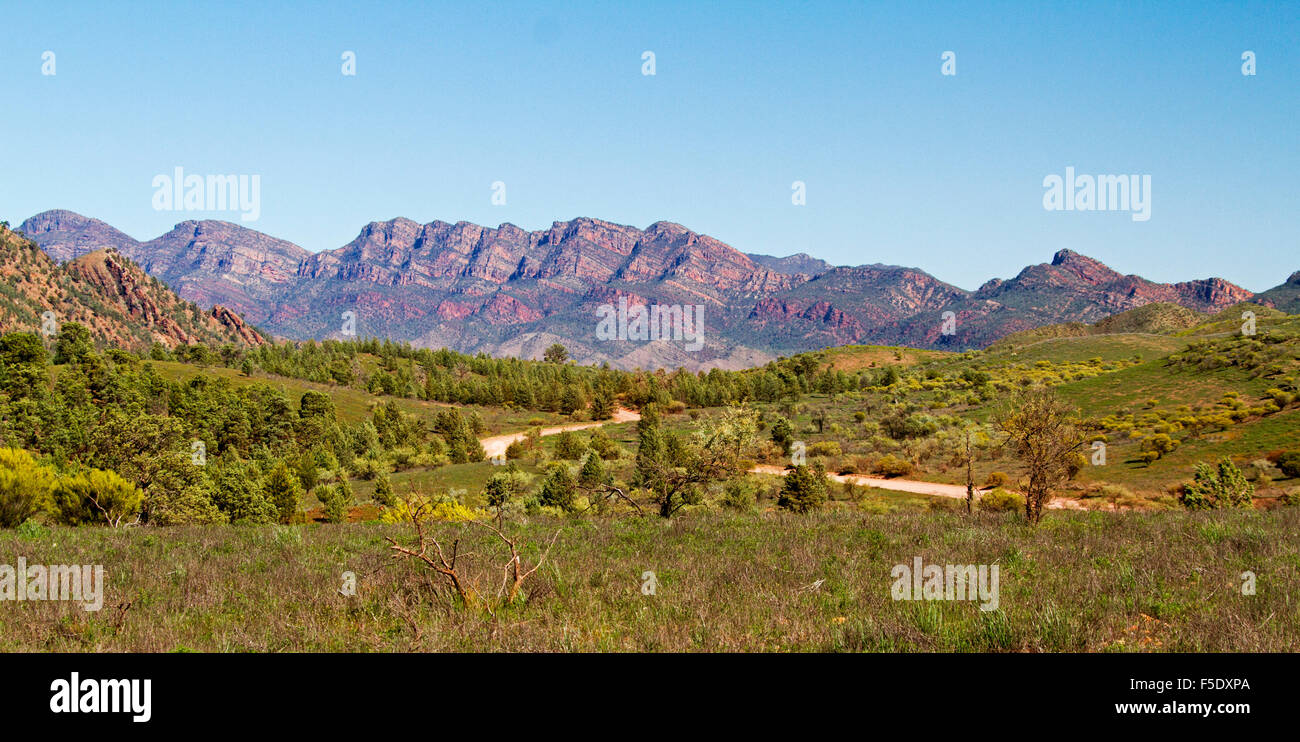 Panoramic landscape in Flinders Ranges National Park with road winding towards high rugged hills under blue sky in outback South Australia Stock Photo