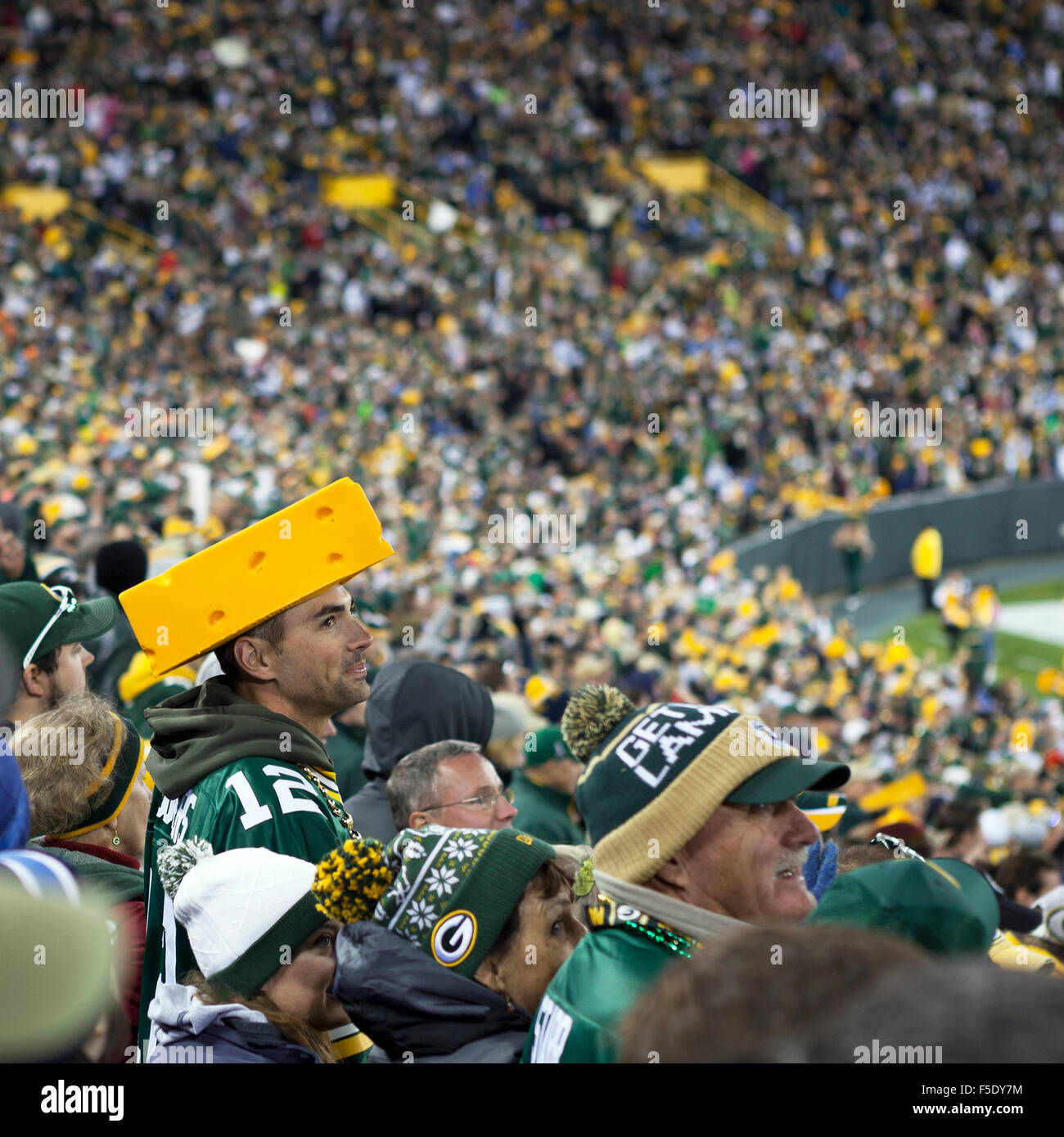 Green bay packers cheesehead fans High 
