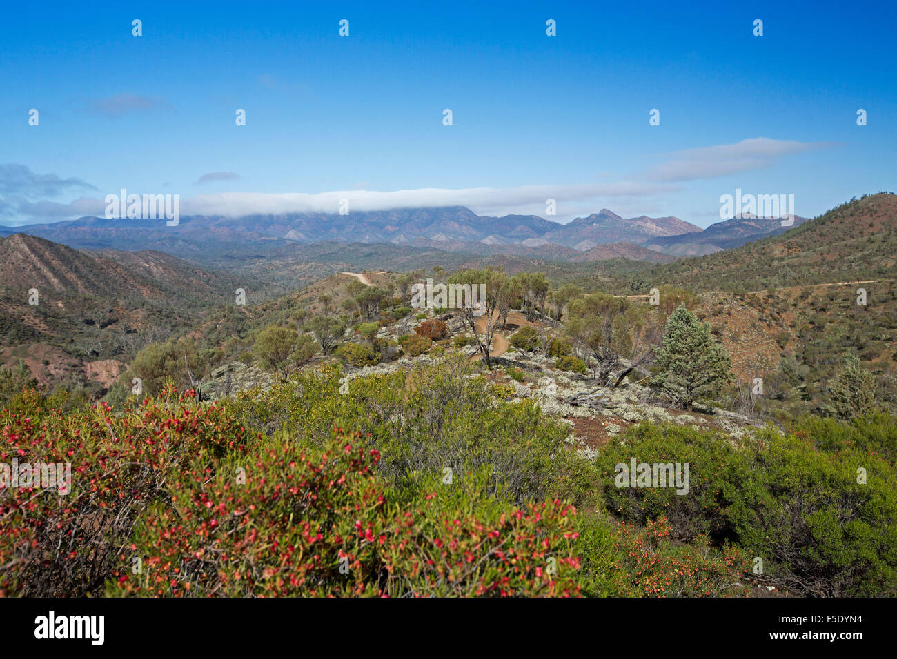 Spectacular outback landscape, peaks of Flinders Ranges rising beyond ...