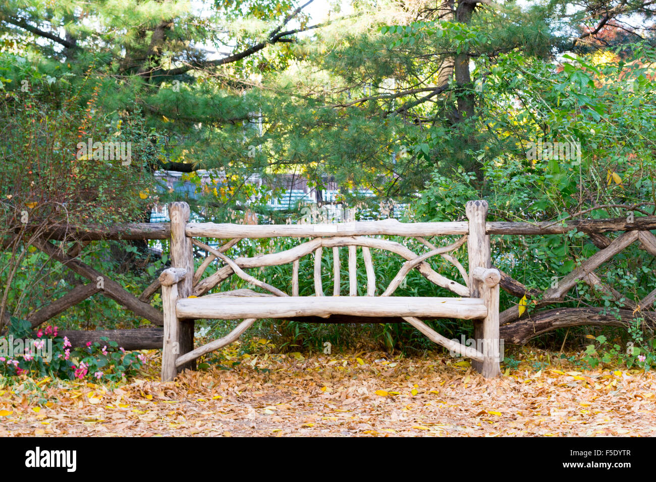 Wooden bench in Central park during the fall Stock Photo Alamy