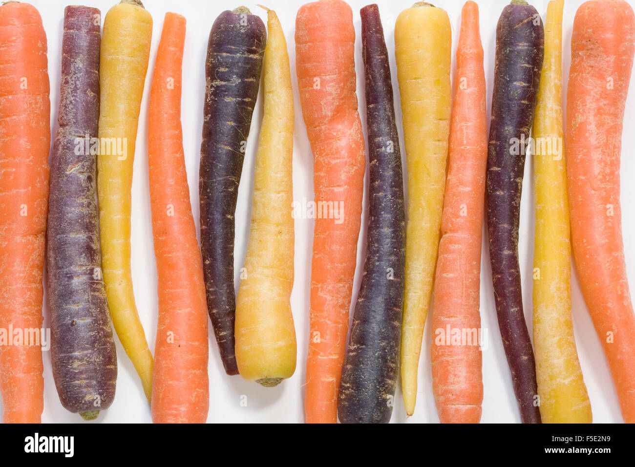 Daucus carota. Colourful miniature carrots. Stock Photo