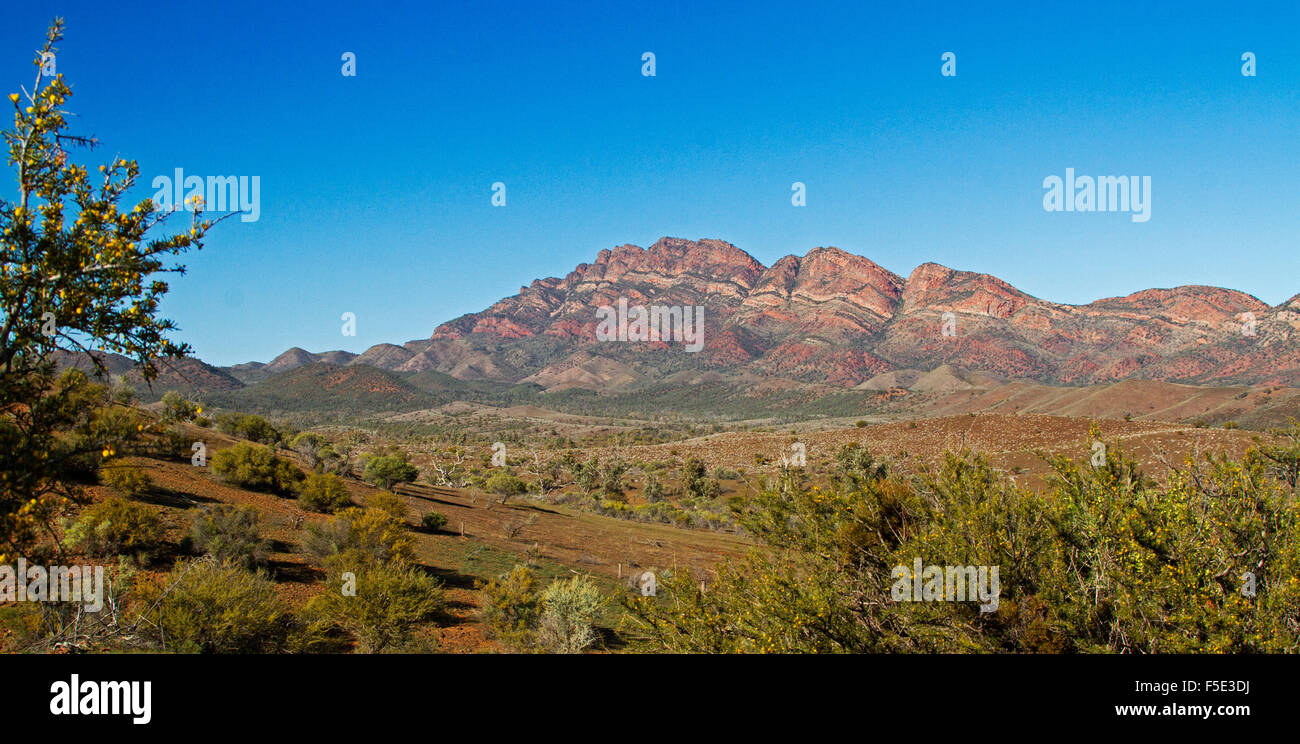 Spectacular panoramic landscape red rocky peaks & valley under blue sky in Flinders Ranges National Park, outback South Australia Stock Photo