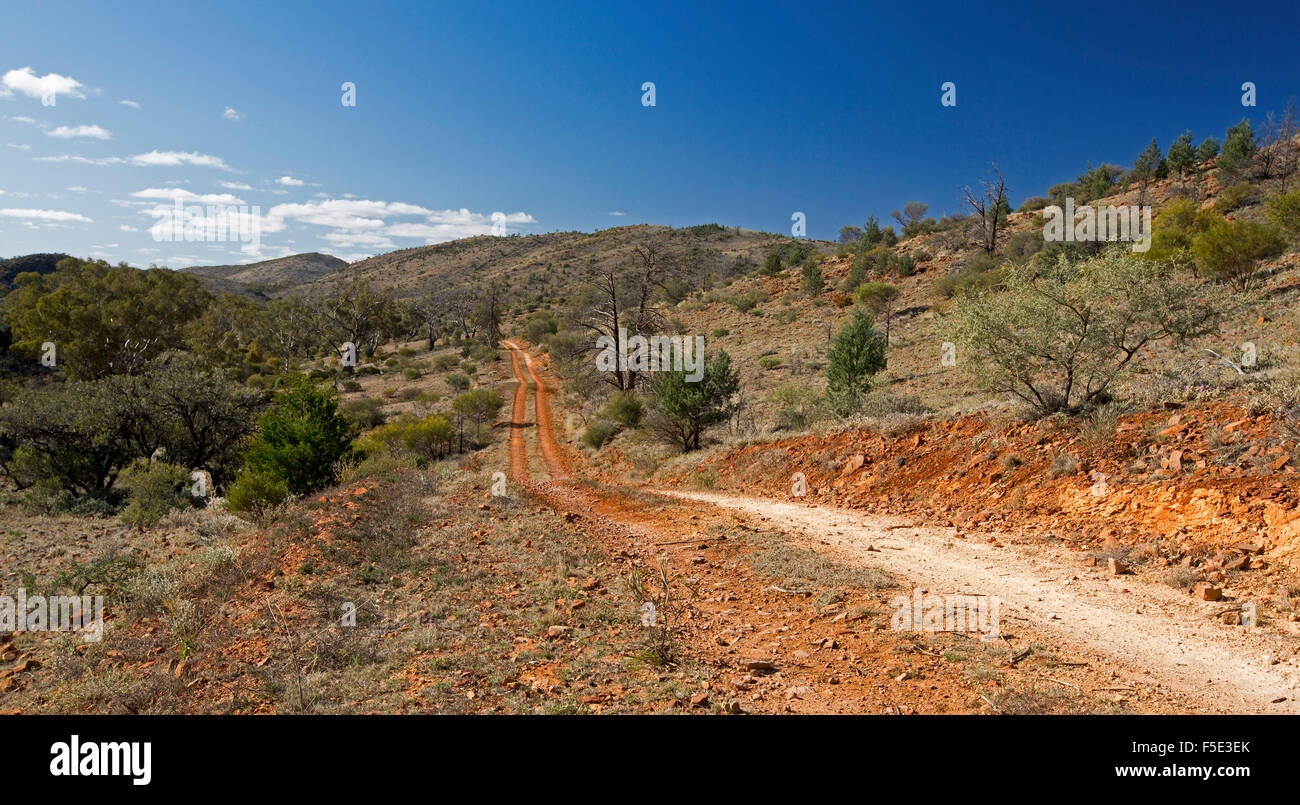 Panoramic view of winding road snaking across barren hilly landscape of Gammon Ranges National Park under blue sky, outback South Australia Stock Photo