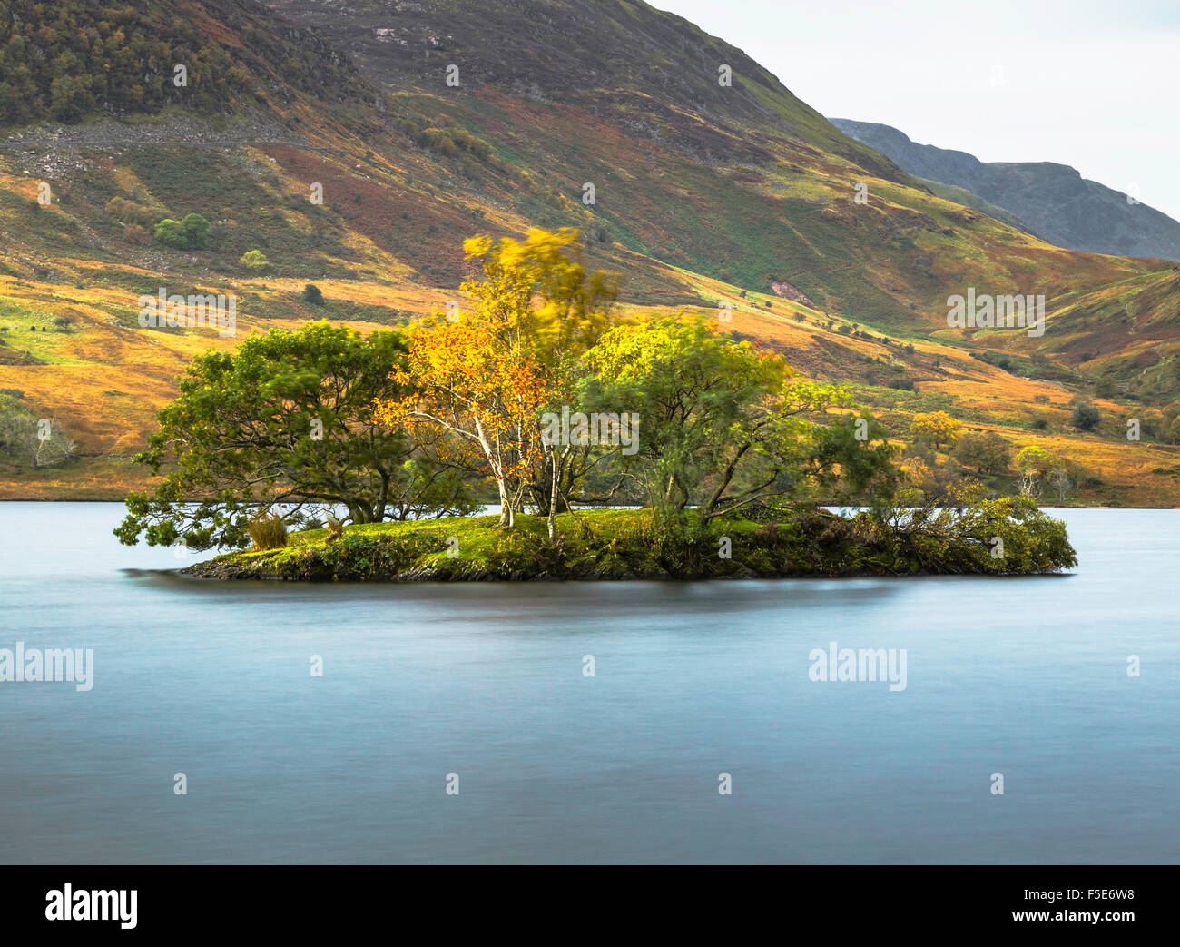 Woodhouse Island in Crummock Water Stock Photo Alamy
