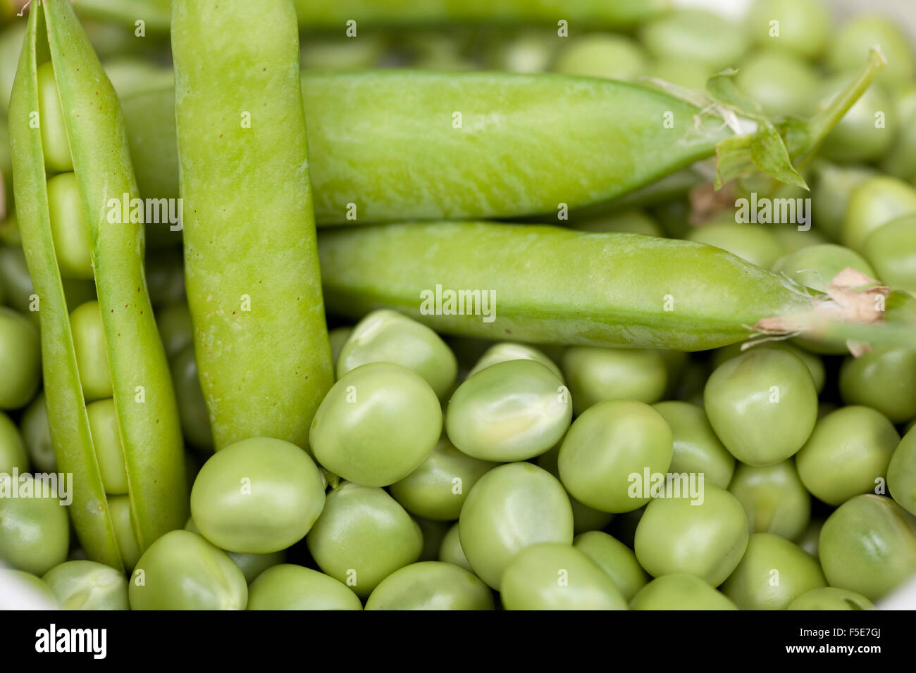 Peas in a Pod main image 1