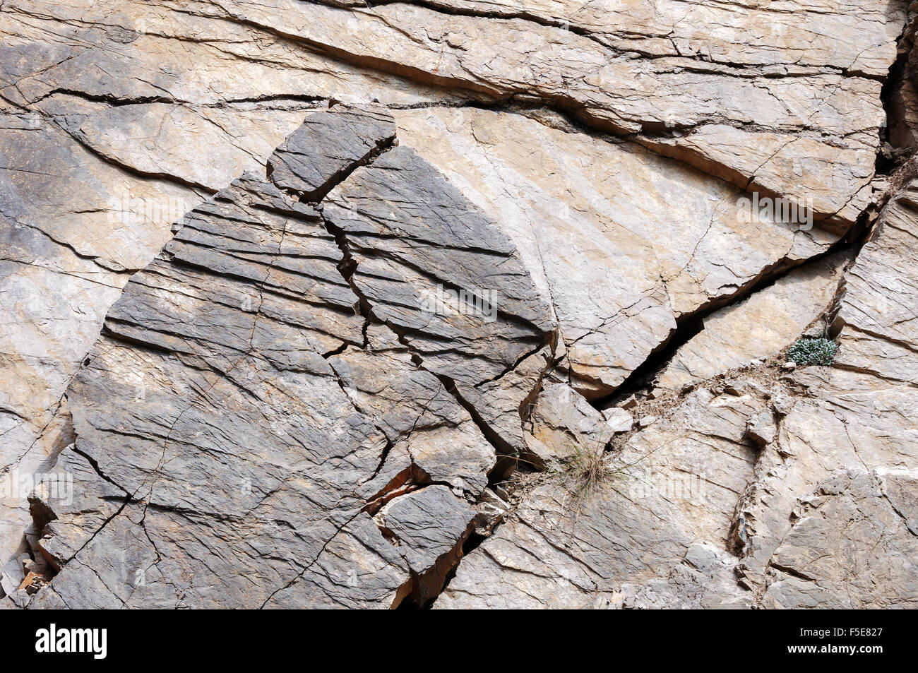 Shale rock outdoors as background sunlight Stock Photo
