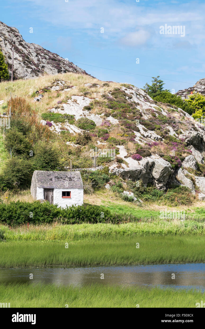 small-out-building-at-mynydd-bodafon-on-anglesey-north-wales-stock