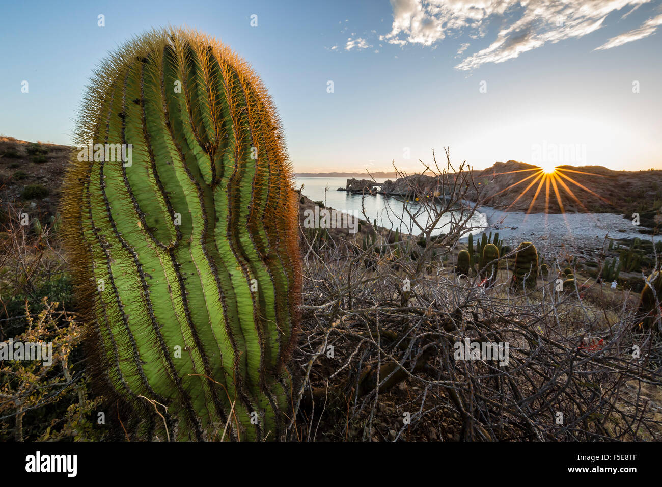 Giant horizontal barrel hi-res stock photography and images - Alamy