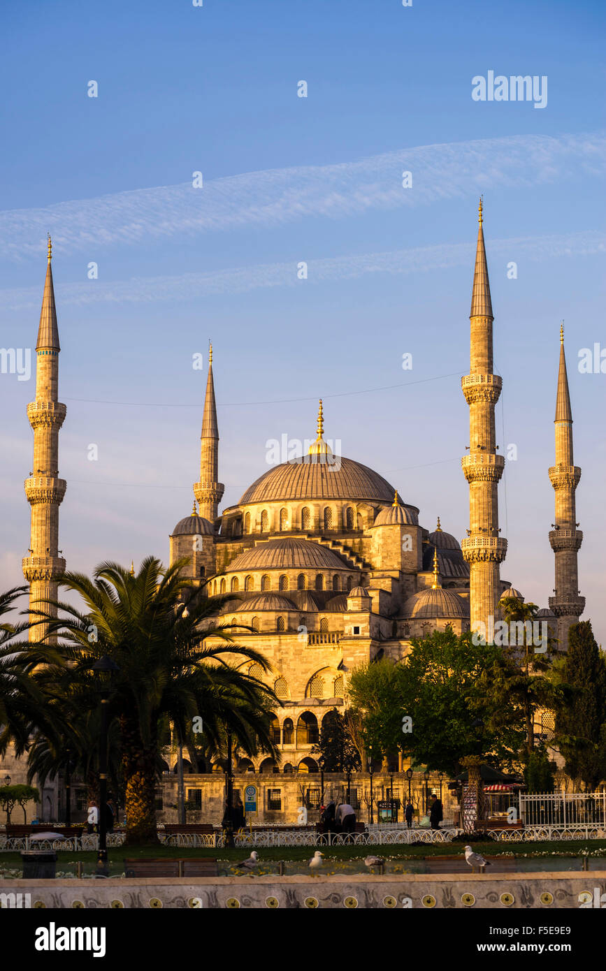 Blue Mosque (Sultan Ahmed Mosque) (Sultan Ahmet Camii), UNESCO World Heritage Site, just after sunrise, Istanbul, Turkey, Europe Stock Photo