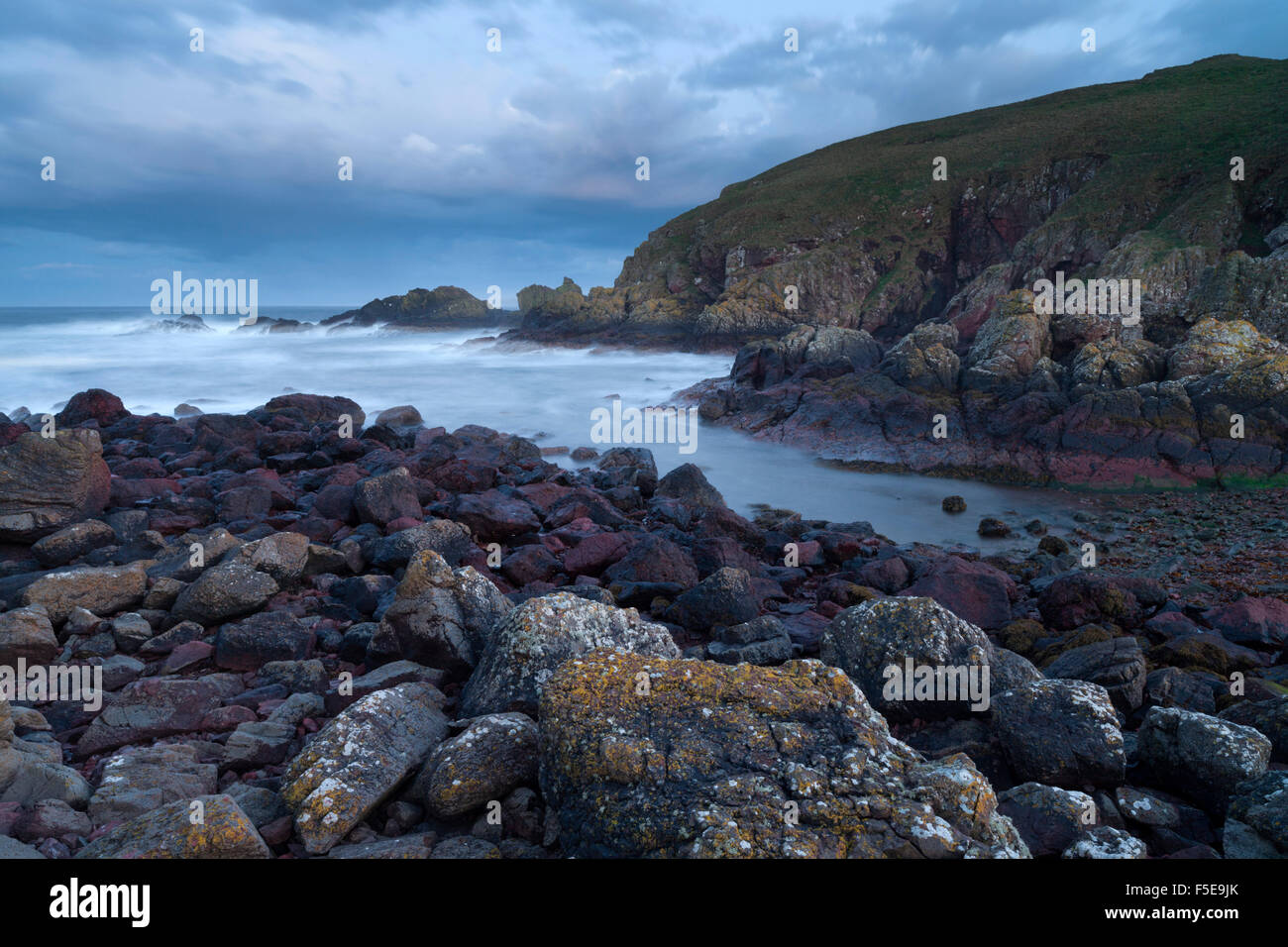 The wonderful coastline at St Abb's Head Nature Reserve, Berwickshire, Scotland, United Kingdom, Europe Stock Photo