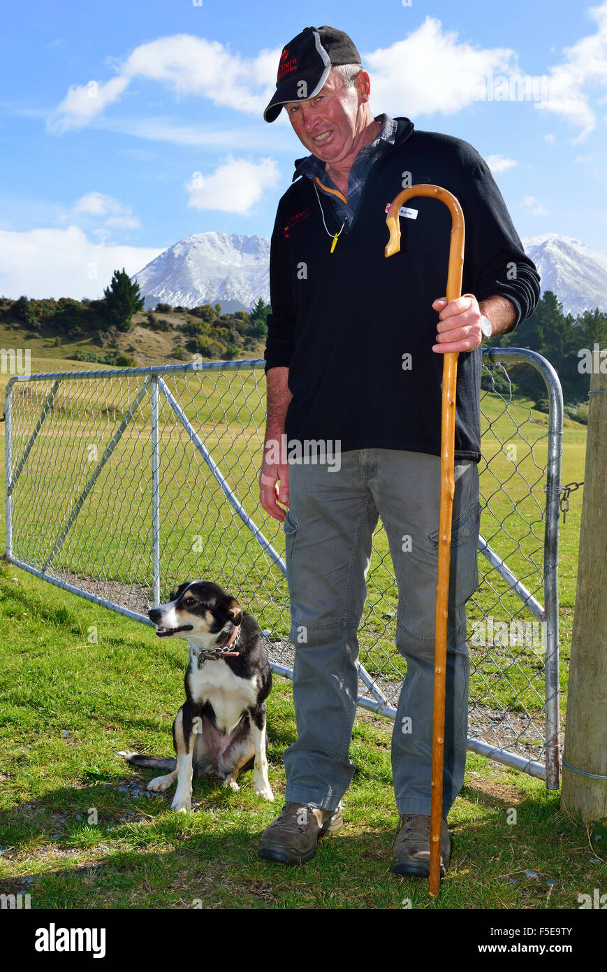 Sheep farmer and his trusty sheepdog on a merino sheep farm St Nicholas Farm, Queenstown, with snow capped southern alps behind, South Island, NZ Stock Photo