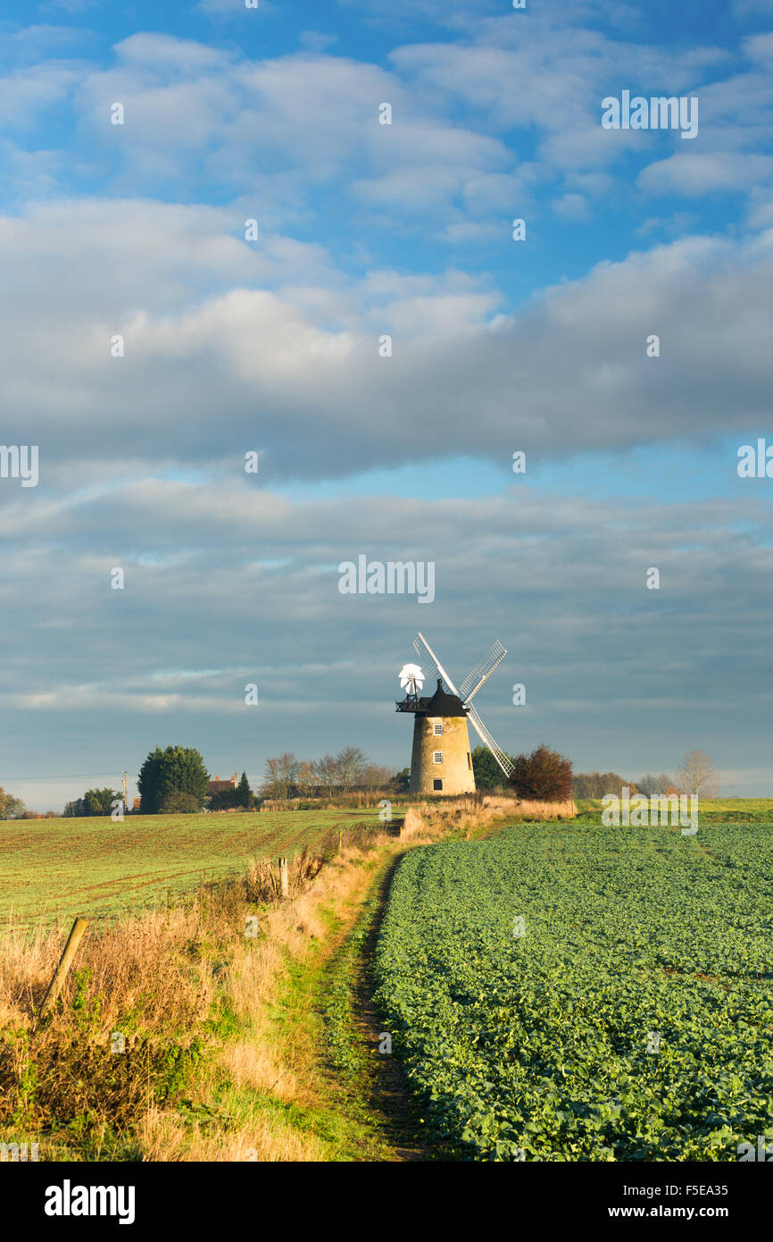 Great Haseley Windmill, Oxfordshire, England, United Kingdom, Europe Stock Photo