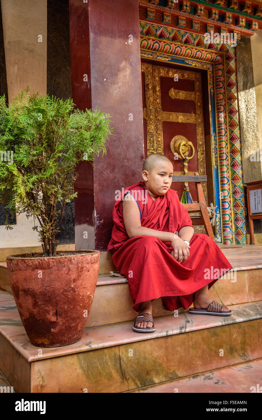 Novice at a buddhist temple in Kathmandu. Stock Photo