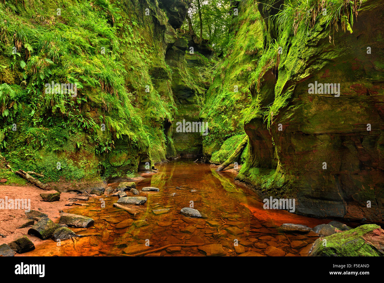 Finnich Glen, also known as Devil's Pulpit near Loch Lomond, Scotland, United Kingdom. Hdr processed. Stock Photo