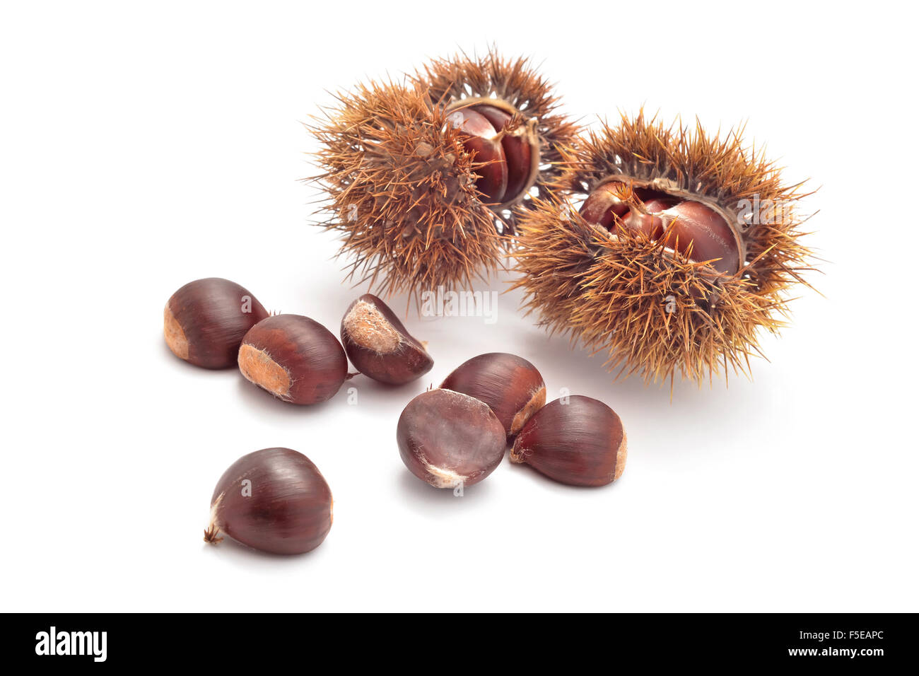 Raw chestnuts hi res stock photography and images Alamy