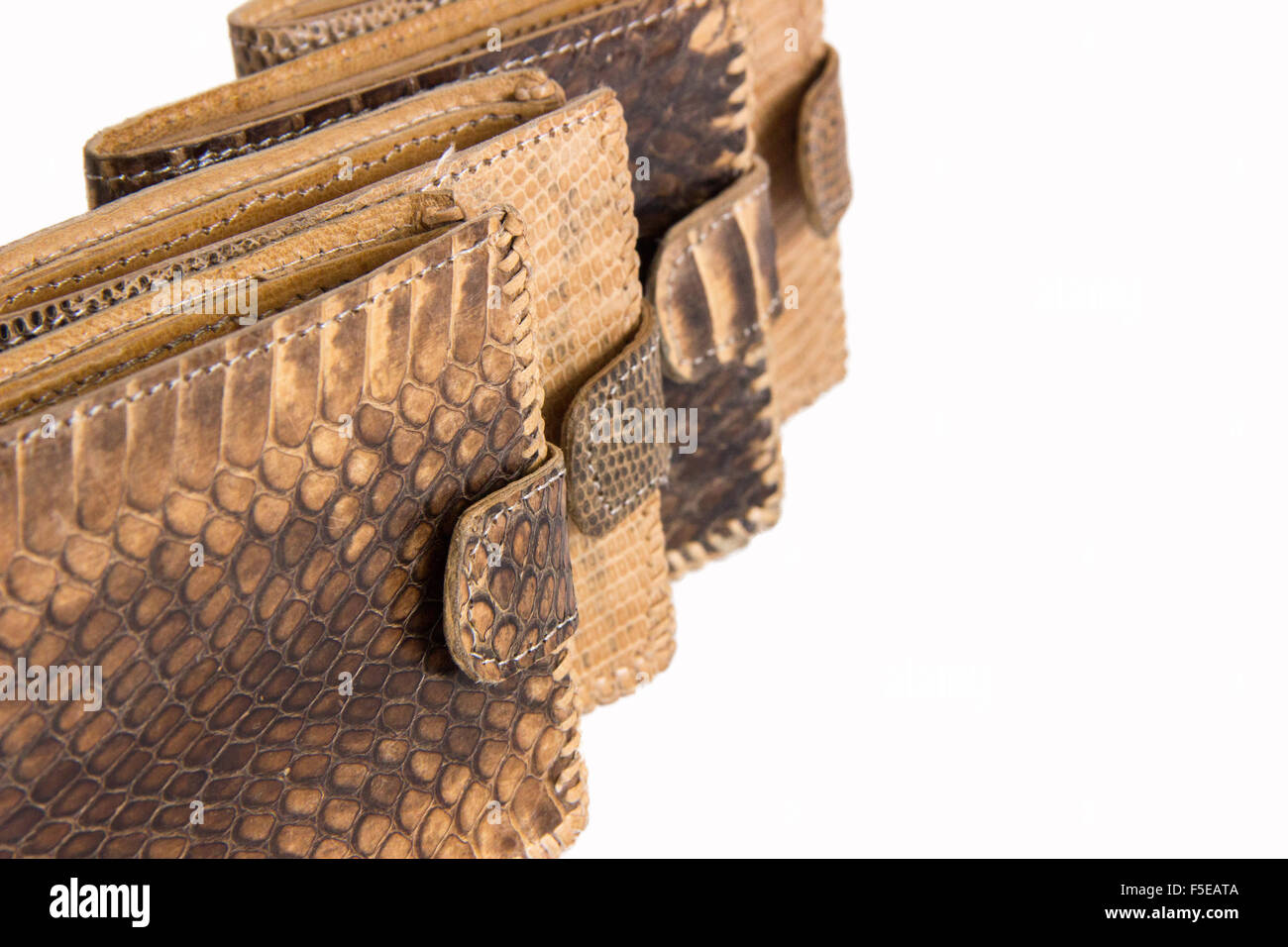 Several brown purse made of snake skin on a white background Stock Photo