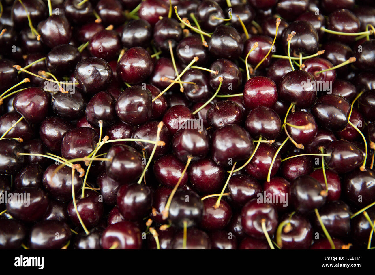 close up of cherries Stock Photo - Alamy
