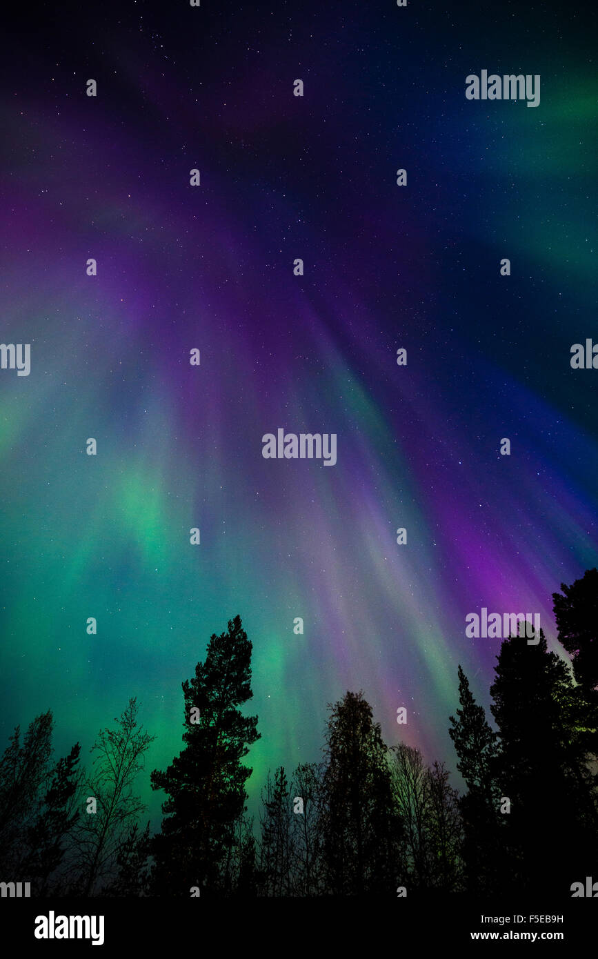 Aurora borealis, corona, Muonio, Finland, Scandinavia, Europe Stock Photo