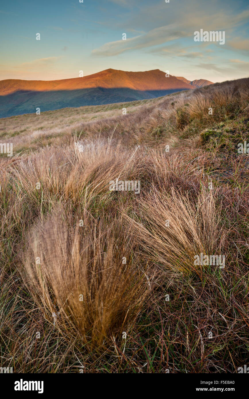 Grass and mountain peak at sunrise, Conor Pass, Dingle Peninsula, County Kerry, Munster, Republic of Ireland, Europe Stock Photo