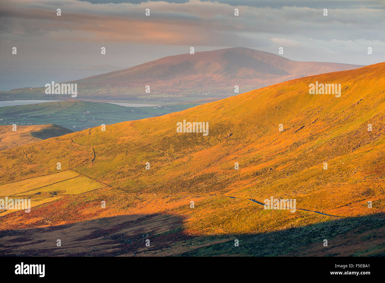 Dingle Peninsula at sunrise, County Kerry, Munster, Republic of Ireland, Europe Stock Photo