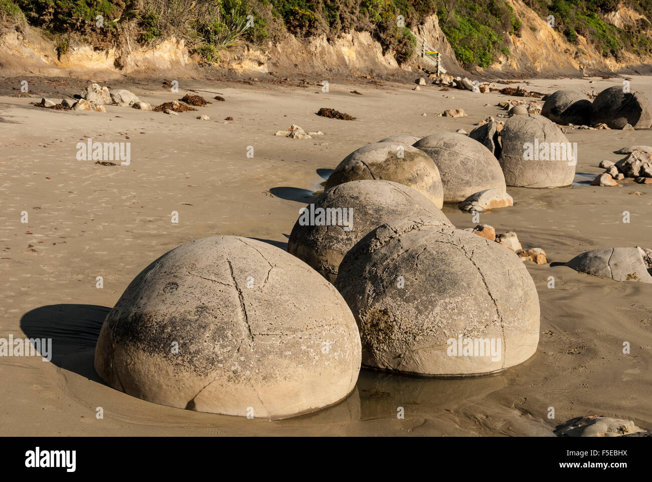 Septarian nodules washed out from cliff of Palaeocene clays, Moeraki Boulders, Dunedin, South Island, New Zealand, Pacific Stock Photo