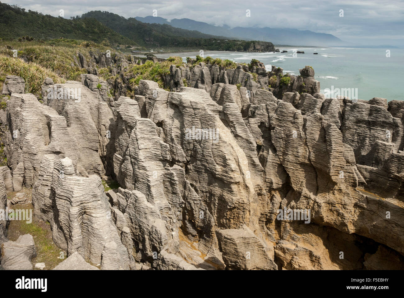 Thin-bedded Oligocene Cobden limestone, Punakaiki, Pancake Rocks, Greymouth, South Island, New Zealand, Pacific Stock Photo