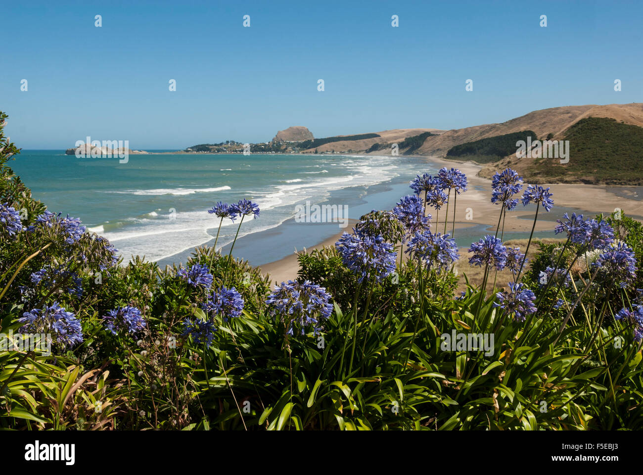 Castlepoint, southeast coast, North Island, New Zealand, Pacific Stock Photo