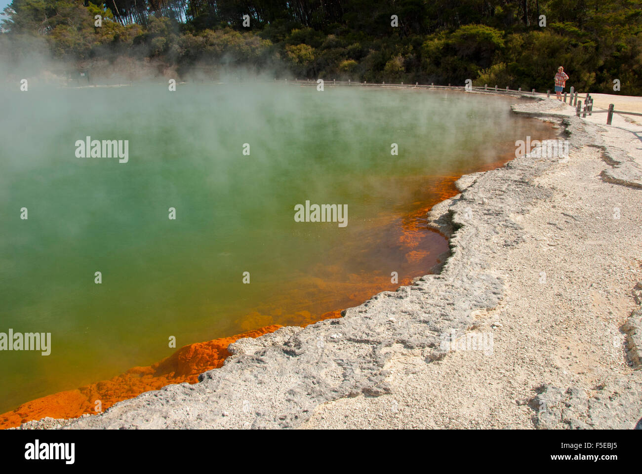 Champagne Pool, in Waiotapu geothermal area, Rotorua, North Island, New Zealand, Pacific Stock Photo