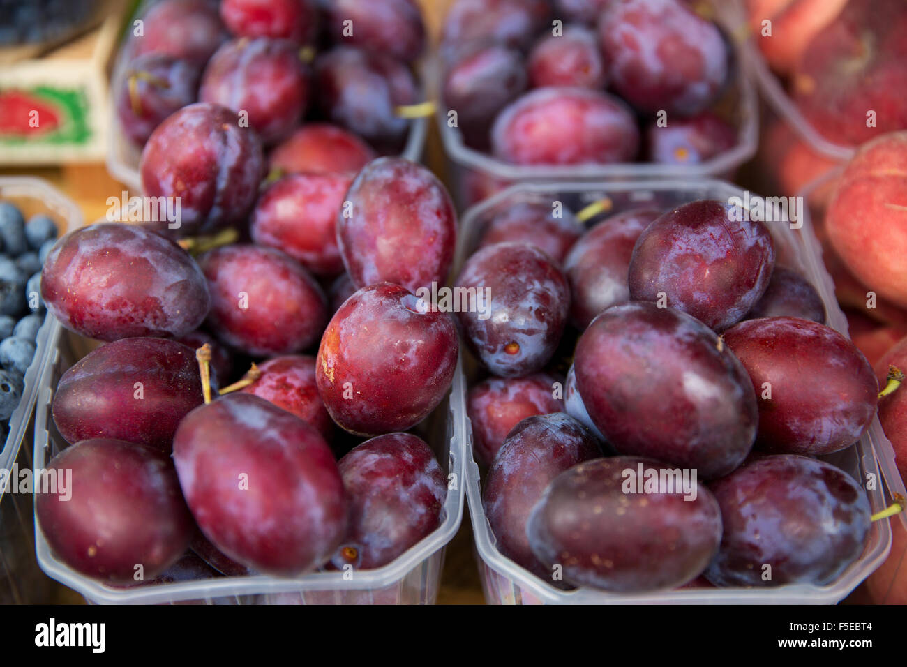 close up of satsuma plums at street market Stock Photo