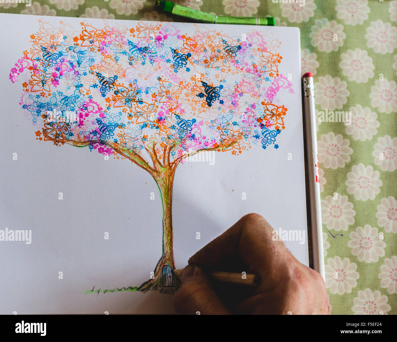 Man drawing an illustration of a magical tree Stock Photo