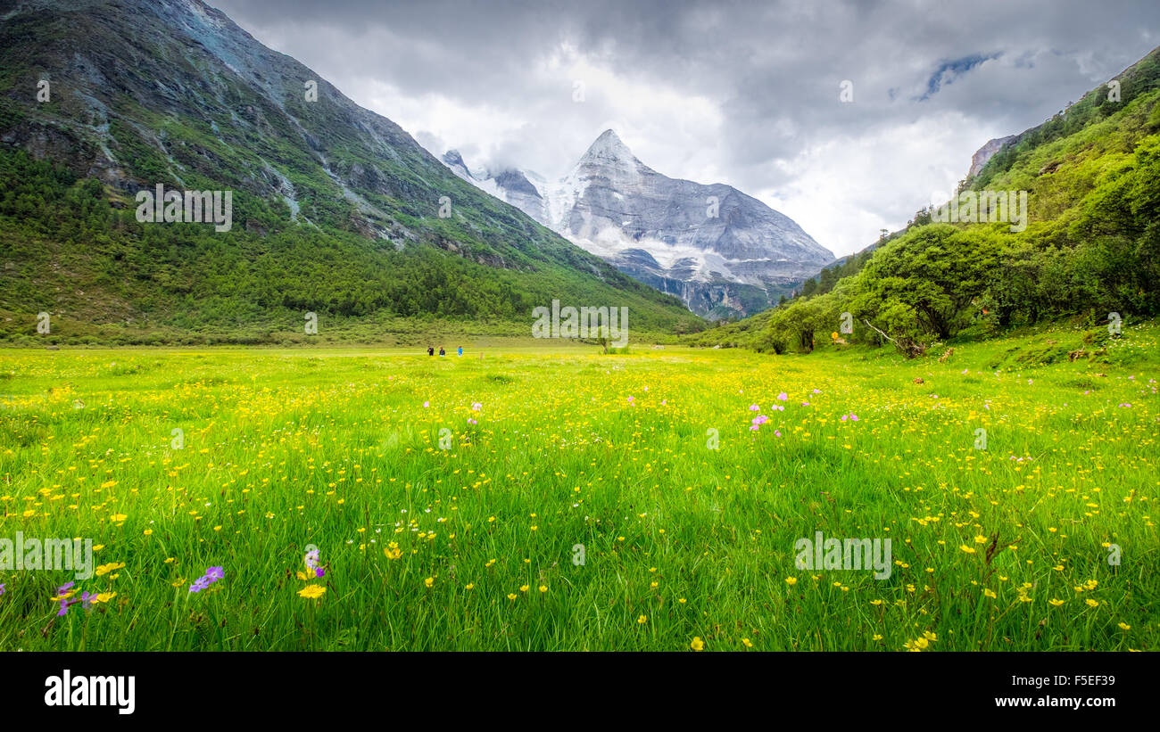 Mountains and meadow landscape, Sichuan, China Stock Photo