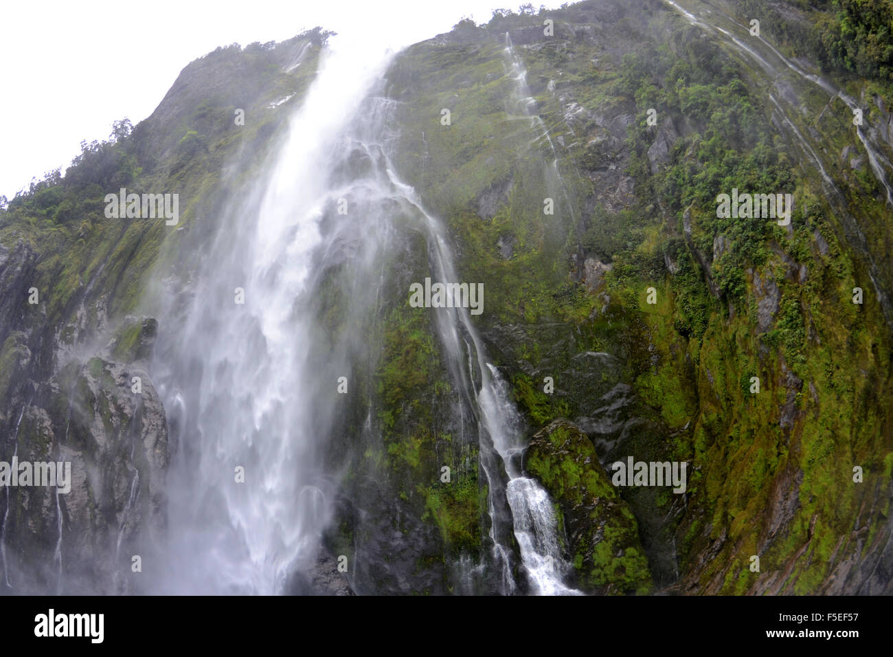 Stirling waterfall, Milford sound, Fiordland National Park, New Zealand Stock Photo