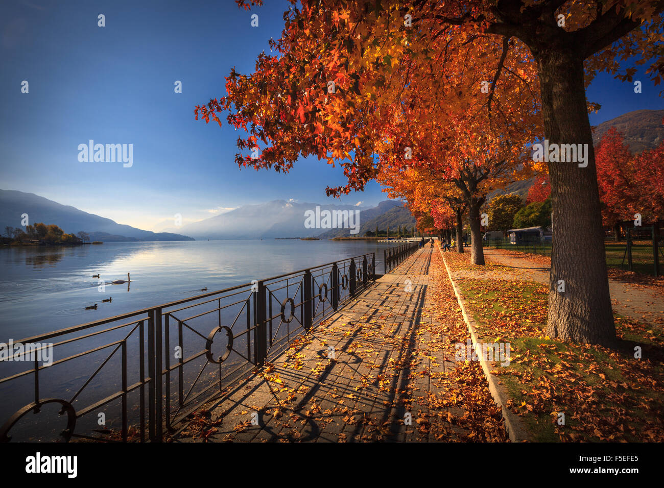Autumn colors in Lake Como - Lakefront promenade in Sorico, Lombardy, Italy Stock Photo