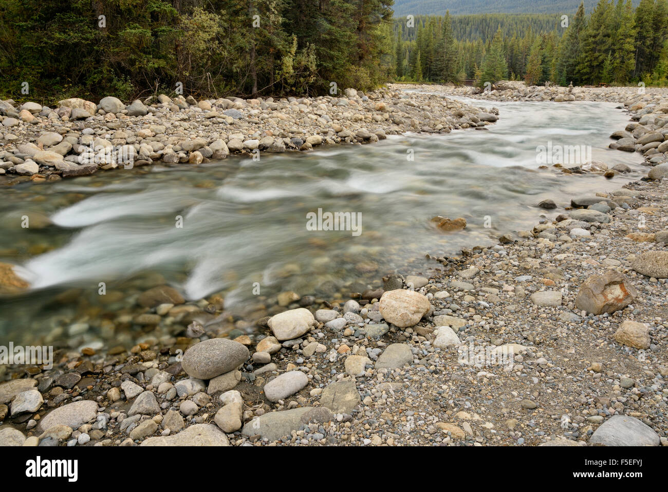 Baker Creek, Banff National Park, Alberta, Canada Stock Photo Alamy
