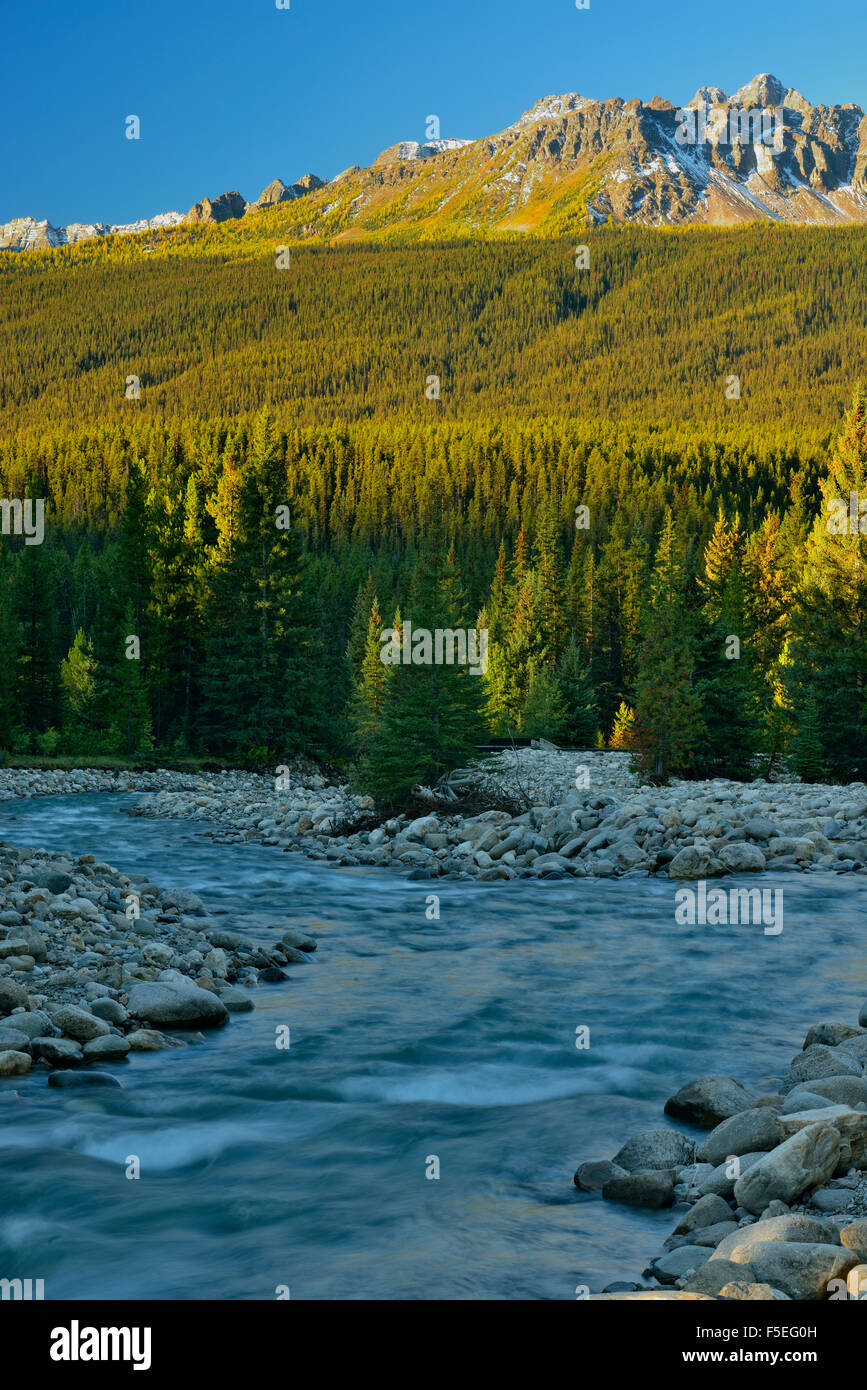 Baker Creek, Banff National Park, Alberta, Canada Stock Photo Alamy